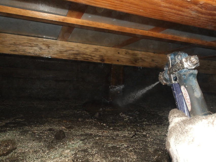 床下　薬剤散布