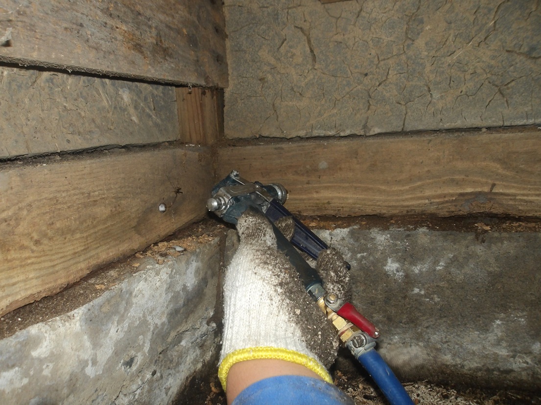 木部　薬剤散布